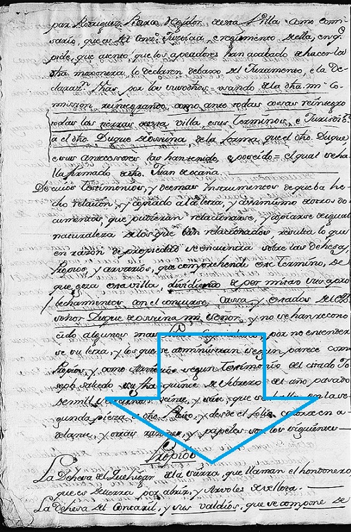 Dehesa Quejigar Hondonero página.jpg