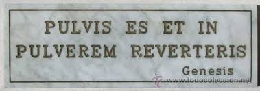 polvo eres y e .....jpg